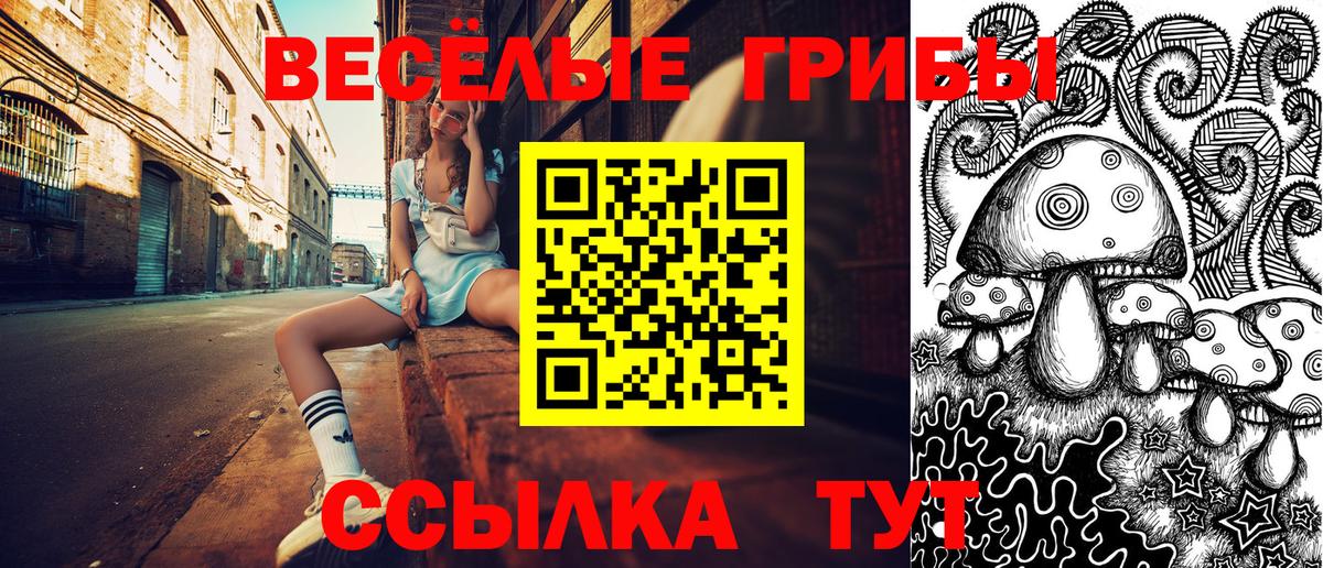 Псилоцибиновые грибы GOLDEN TEACHER Нововоронеж